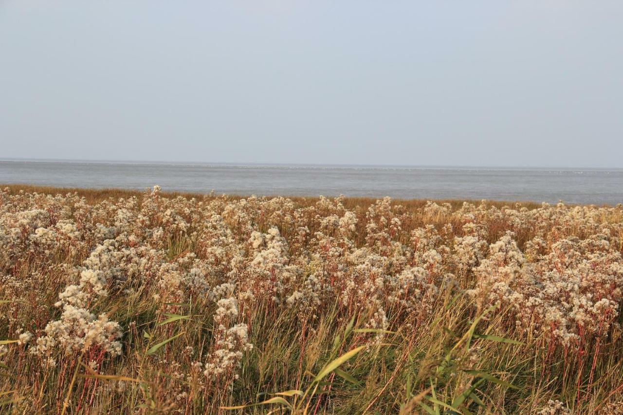בוטיאדינגן Annemaries Nordseehaus מראה חיצוני תמונה